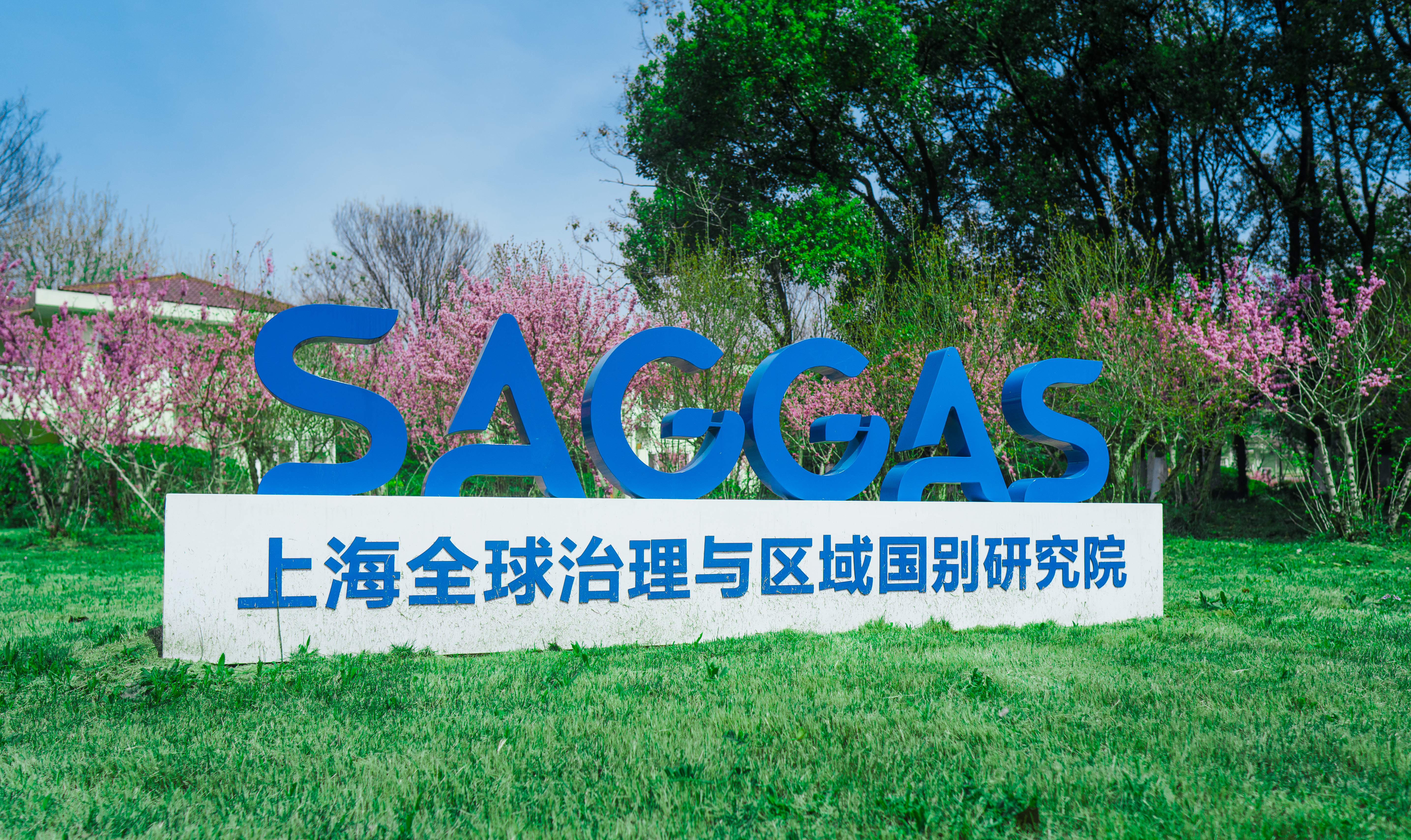 上海外国语大学全球治理与区域国别大楼6层办公家具比选结果公告